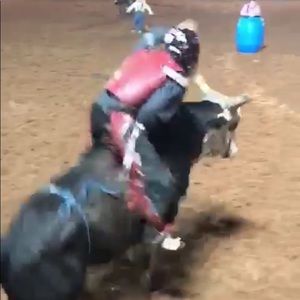 Meet your Posher, Tanner